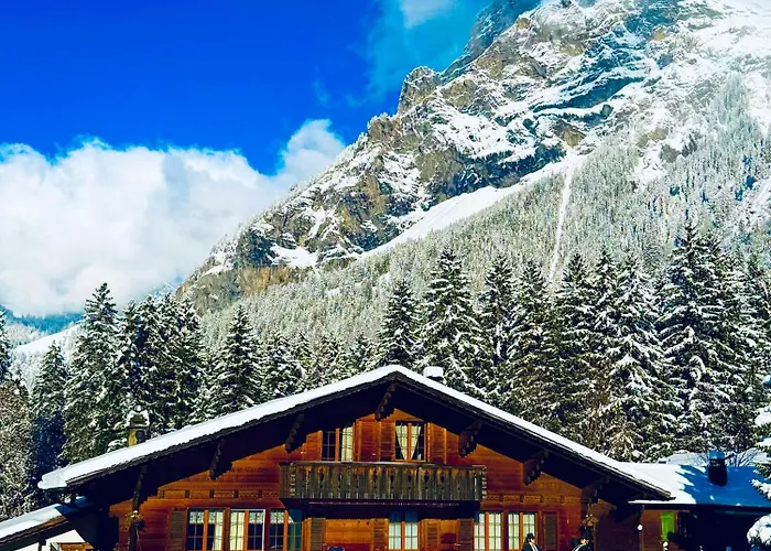 Apartman Bergtraum *