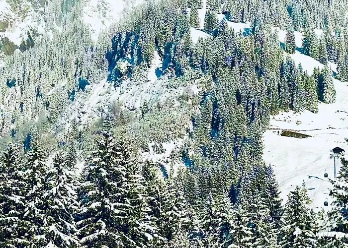 Apartman Bergtraum Kandersteg